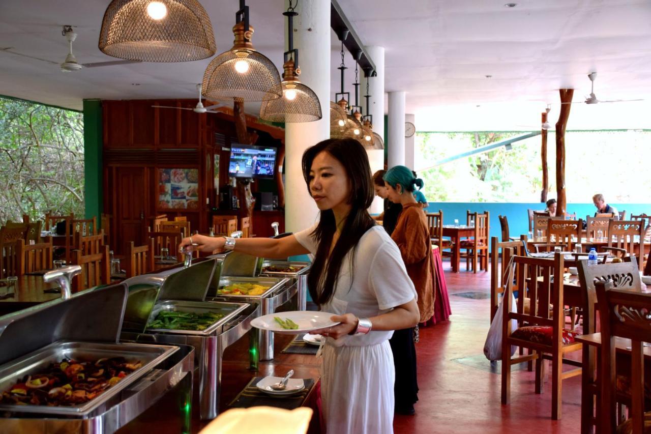 Hungry Lion Resort 锡吉里亚 外观 照片