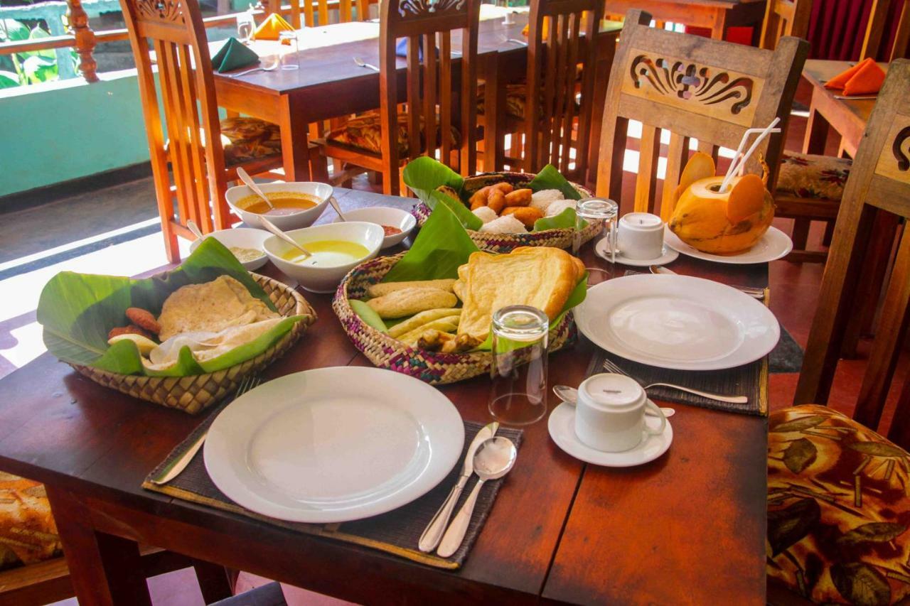 Hungry Lion Resort 锡吉里亚 外观 照片